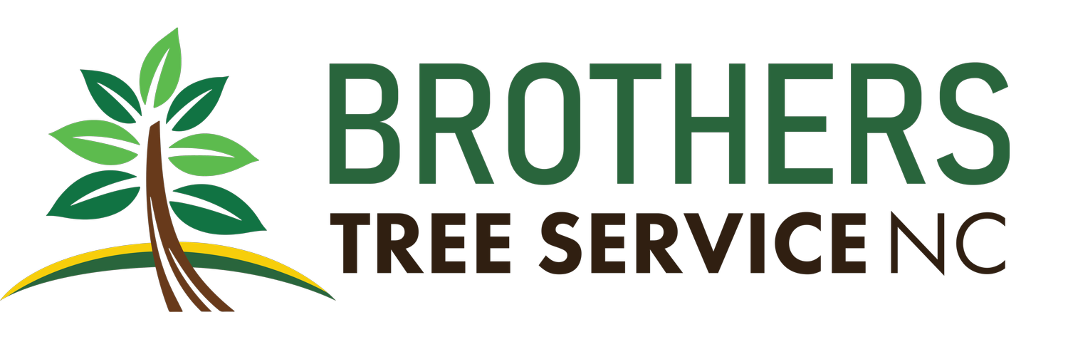 Brothers Tree Service